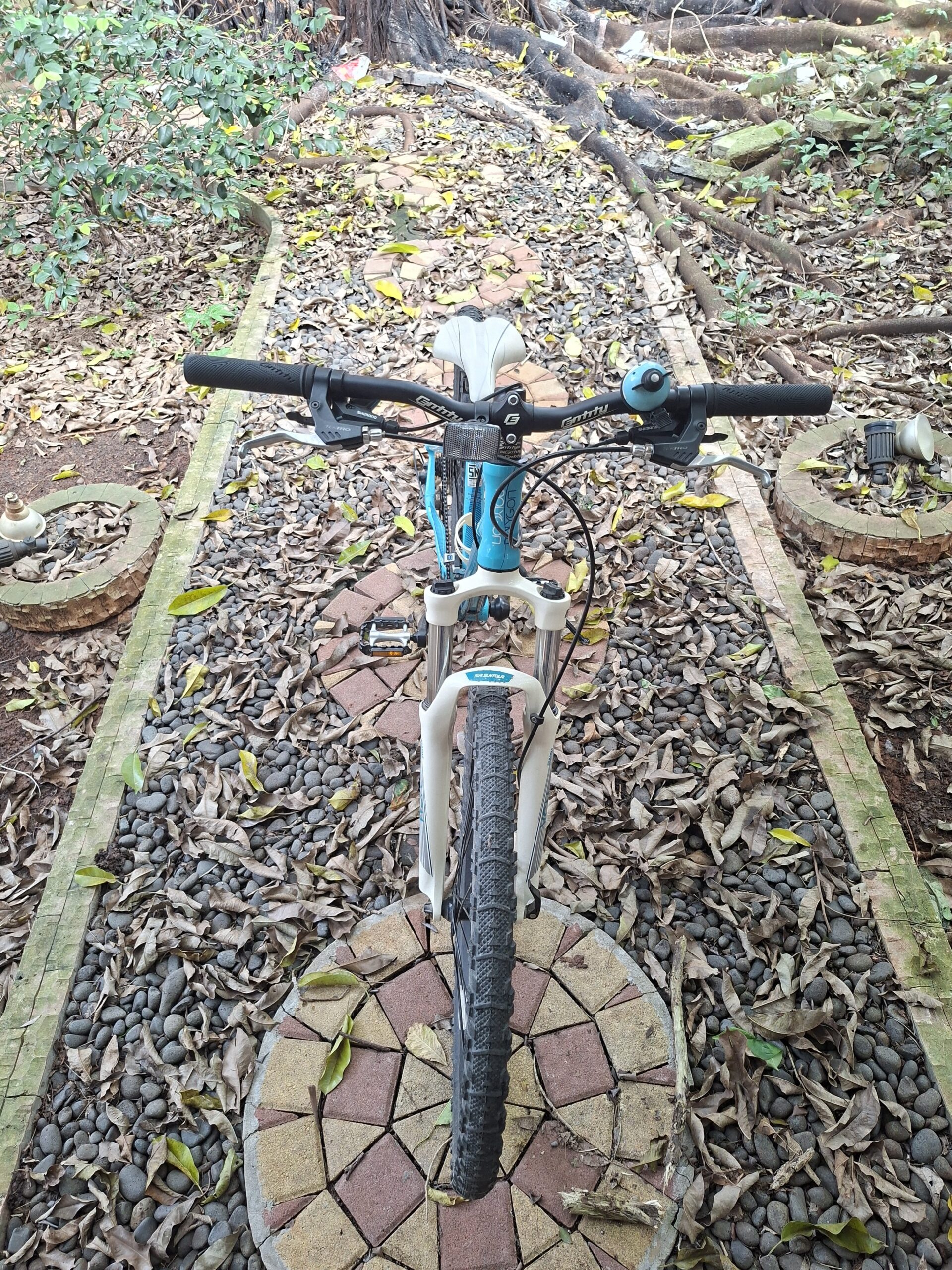 Sepeda Polygon Cleo 2.0 (Sepeda untuk Olahraga)